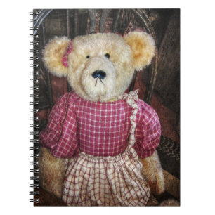 Theodora Notebook
