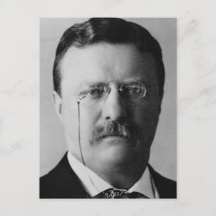Theodore Roosevelt 26 Postcard
