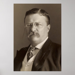Theodore Roosevelt, 26th U.S. President Poster