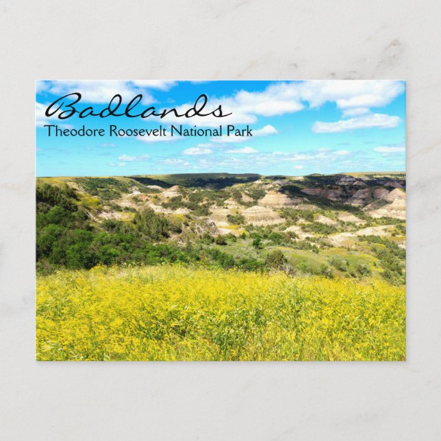 Theodore Roosevelt Badlands, ND Postcard (Front)