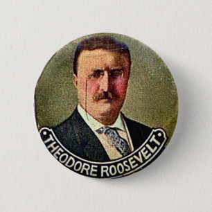 Theodore Roosevelt - Button