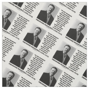 Theodore Roosevelt Moment Of Decision Best Thing Fabric