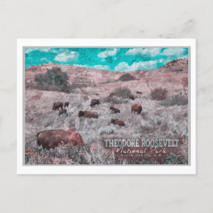 THEODORE ROOSEVELT NATIONAL PARK - NORTH DAKOTA POSTCARD