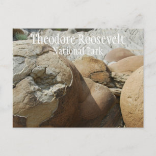 Theodore Roosevelt National Park Postcard