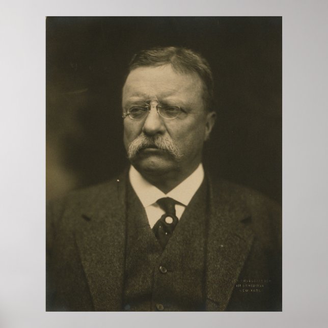 Theodore Roosevelt Portrait by the Pach Brothers Poster (Front)