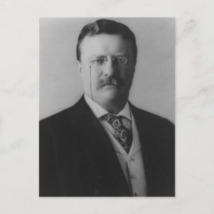 Theodore Roosevelt Portrait Postcard
