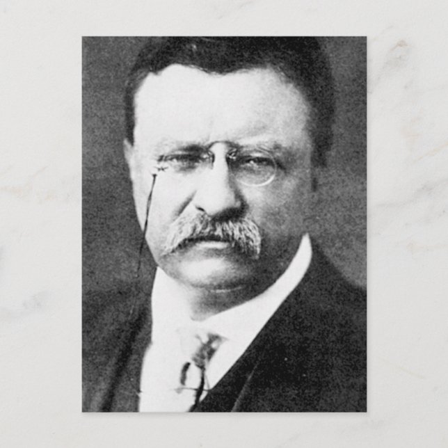 Theodore Roosevelt Postcard (Front)