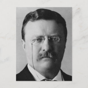 Theodore Roosevelt Postcard