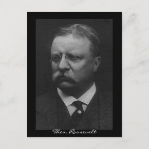 Theodore Roosevelt Postcard