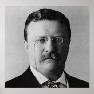 Theodore Roosevelt Poster