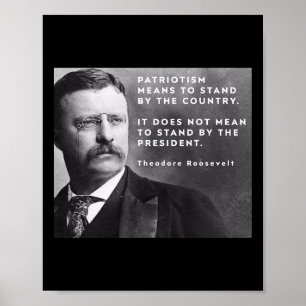 Theodore Roosevelt Pro-democracy Anti-trump Patrio Poster