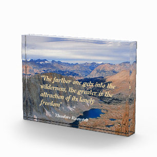 Theodore Roosevelt Quotation Photo Block
