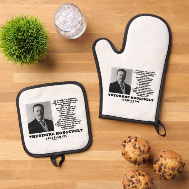Theodore Roosevelt Waste Destroy Natural Resources Oven Mitt & Pot Holder Set (Top Down)