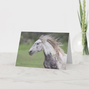 Theodore Runs: Galloping to Freedom Greeting Card
