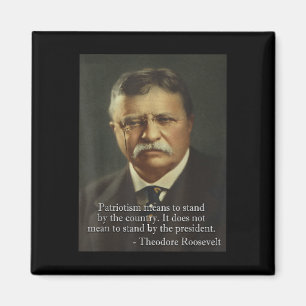 Theodore Teddy Roosevelt Meme _ Anti Trump Tee Magnet