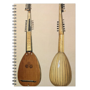 Theorbo, made by Giovanni Krebar, Padua, 1629, fro Notebook