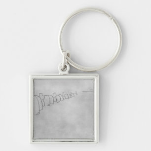 Theory of Elephants, 1896 Key Ring