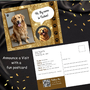 Therapy Dog Visit Gold Sparkle Postcard