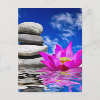 Therapy Rock Stones & Lotus Flower Postcard