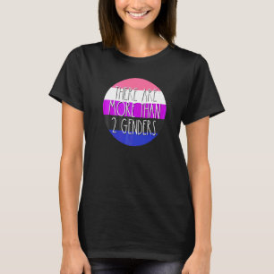 There Are More Than 2 Genders Genderfluid Flag Omn T-Shirt