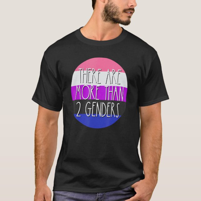 There Are More Than 2 Genders Genderfluid Flag Omn T-Shirt (Front)