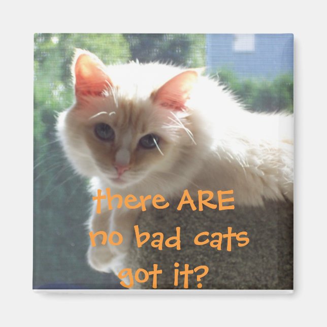 There Are No Bad Cats..Got it? Magnet (Front)