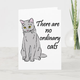 There Are No Ordinary Cats Card
