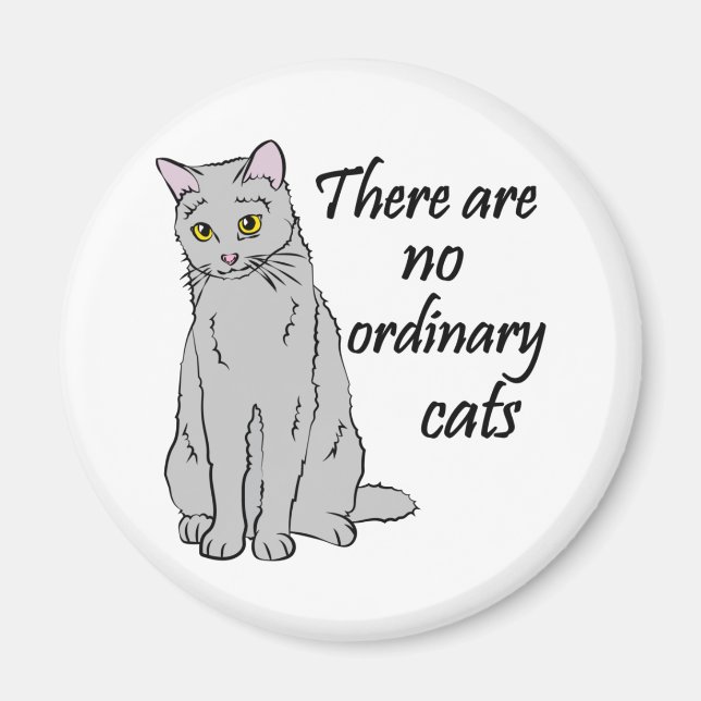 There Are No Ordinary Cats Magnet (Front)