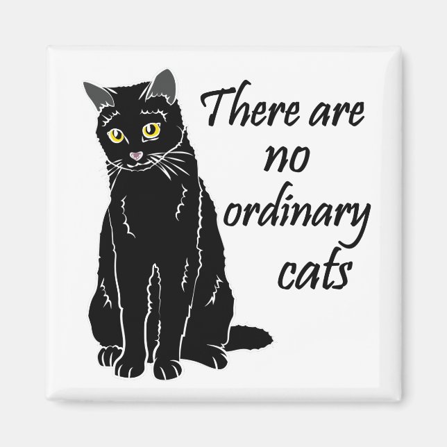 There Are No Ordinary Cats Magnet (Front)