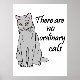 There Are No Ordinary Cats Poster