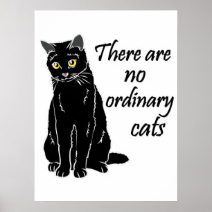 There Are No Ordinary Cats Poster