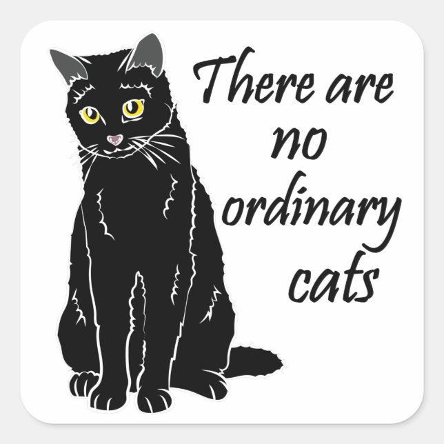 There Are No Ordinary Cats Square Sticker (Front)