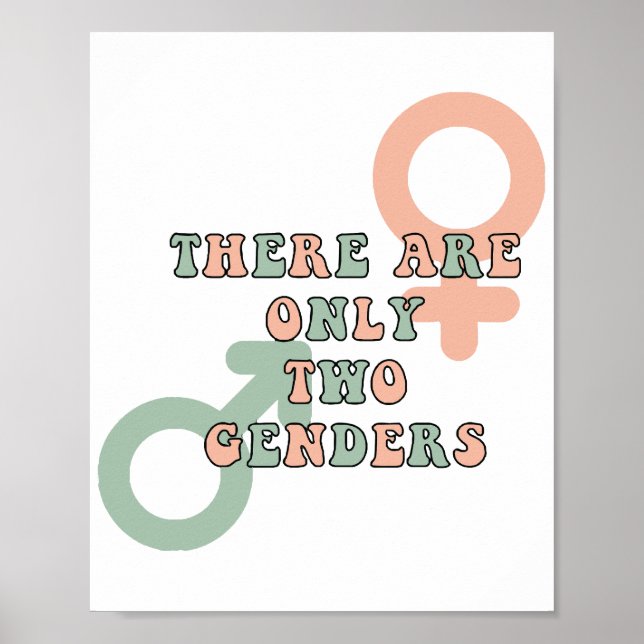 There Are Only Two Genders Poster (Front)