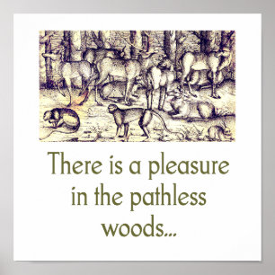 There Is A Pleasure In The Pathless Woods Poster