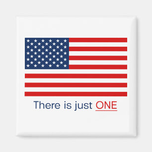 There is just one American flag. Magnet