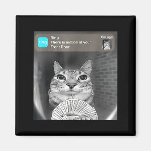 There is motion at front door funny cat meme camer magnet