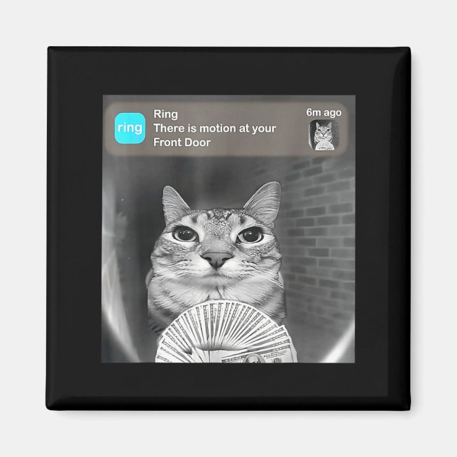 There is motion at front door funny cat meme camer magnet (Front)