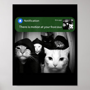 There is motion at front door funny cat motion mem poster