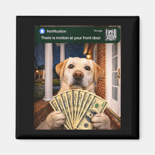 There is motion at front door funny dog motion mem magnet