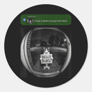 There is Motion At Your Front Door Cat Belly Rubs Classic Round Sticker