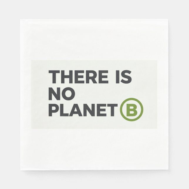 There Is No Planet B Environmentalist  Napkin (Front)
