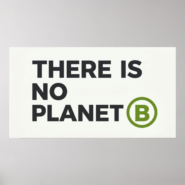 There Is No Planet B Environmentalist  Poster (Front)