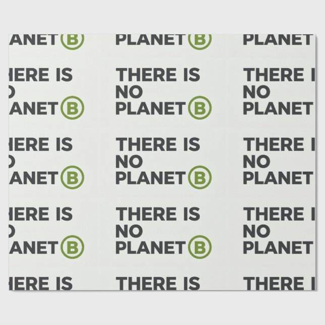 There Is No Planet B Environmentalist  Wrapping Paper (Flat)