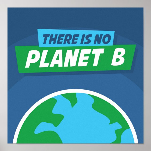 There Is No Planet B Poster (Front)