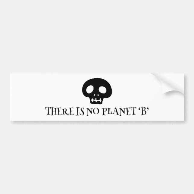 There is no planet 'B' T-Shirt Bumper Sticker (Front)