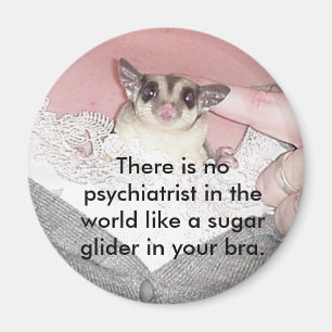 There is no psychiatrist in... magnet