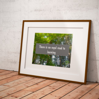 There is no royal road to learning proverb poster