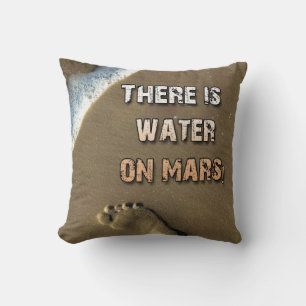 There Is Water On Mars Pillow! Cushion