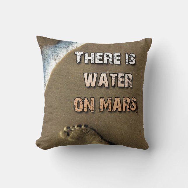 There Is Water On Mars Pillow! Cushion (Front)