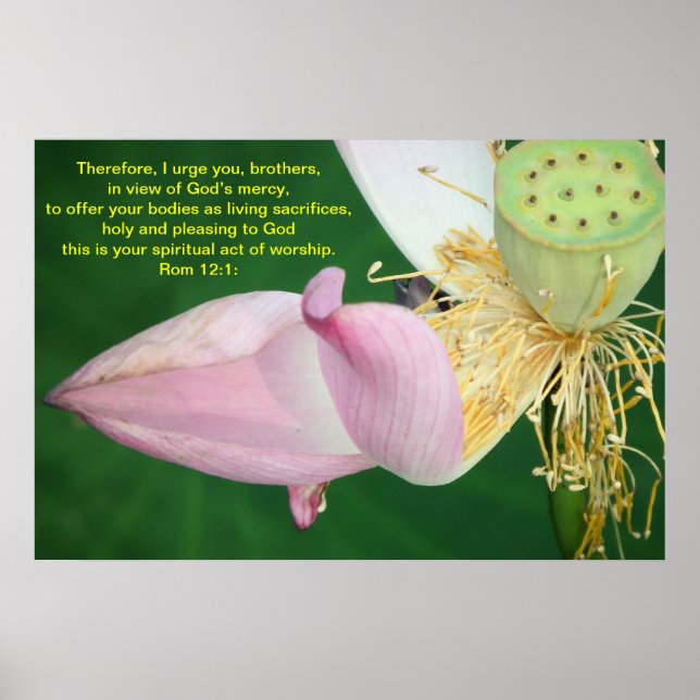 Therefore, I urge you, brothers Poster (Front)